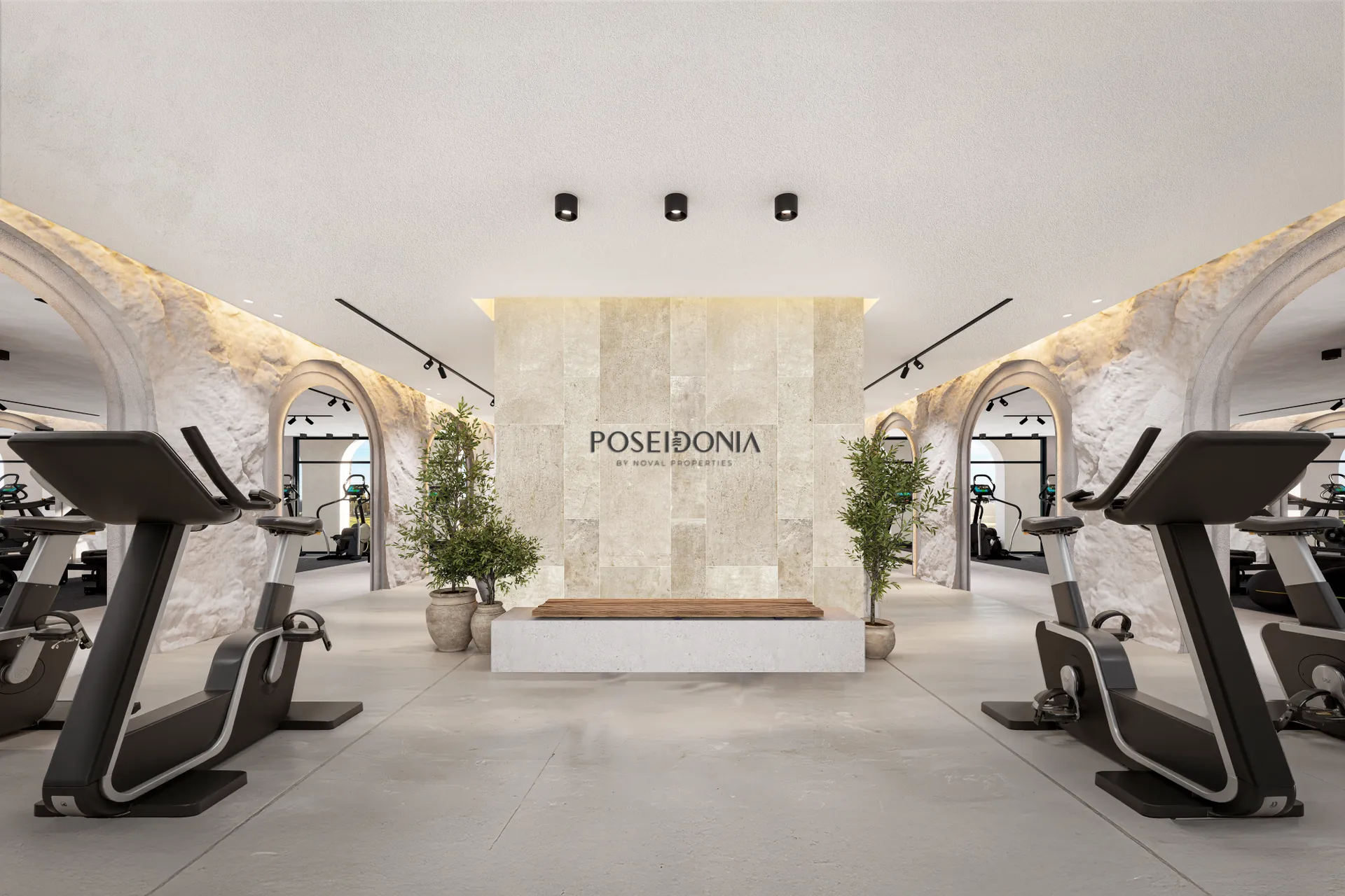 Poseidonia Residences — Fitness centre with stone arches